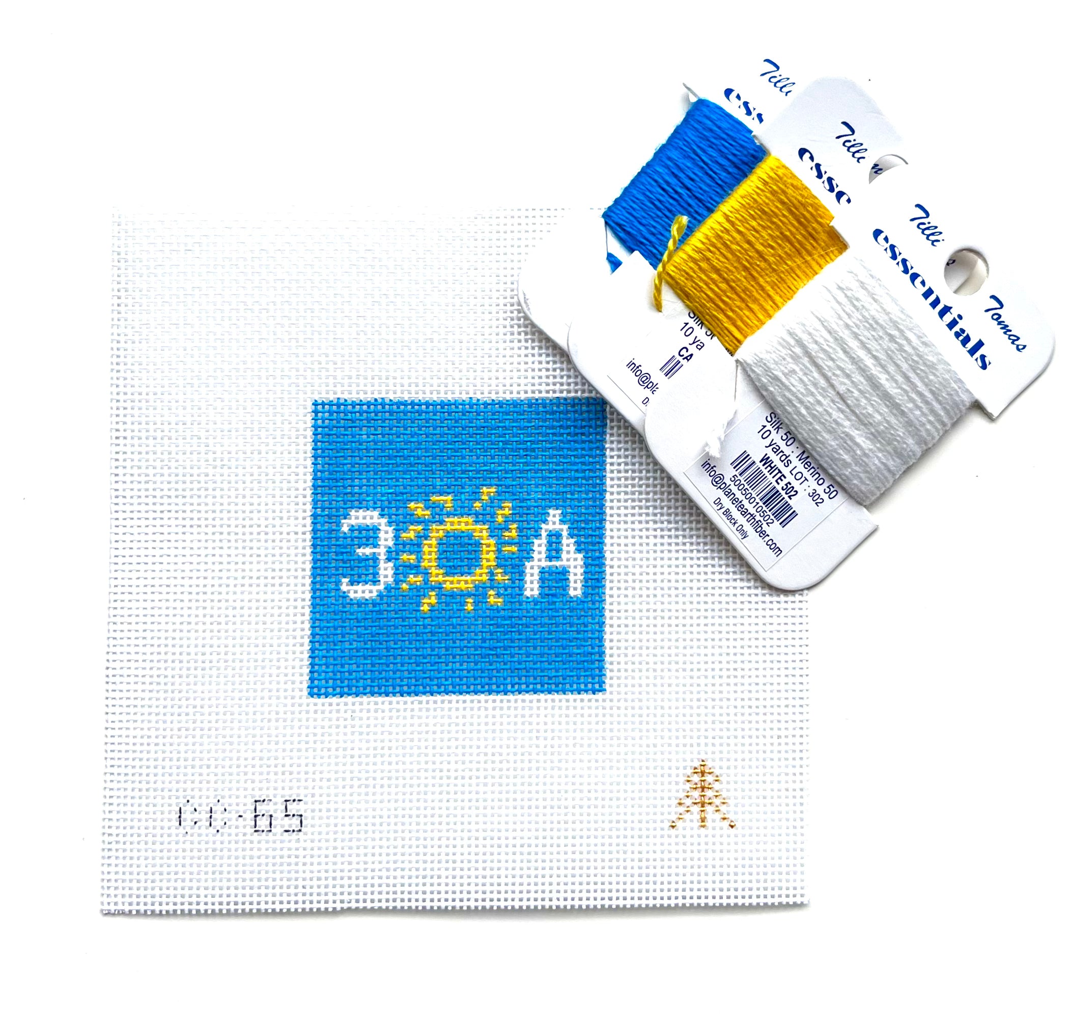 30A Beach Needlepoint Canvas Insert for Can Cozy
