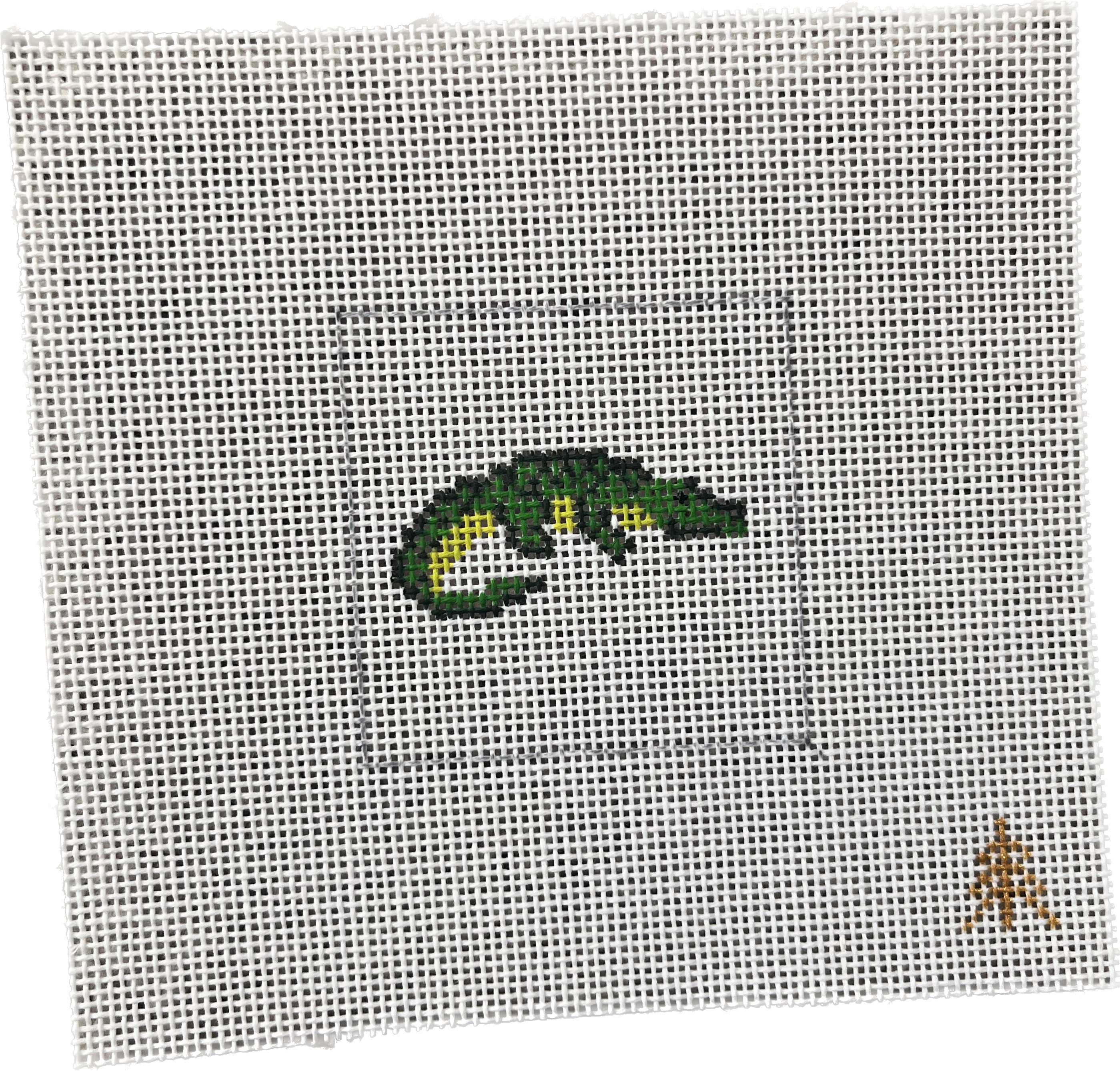 Alligator Canvas Insert for Can Cozy