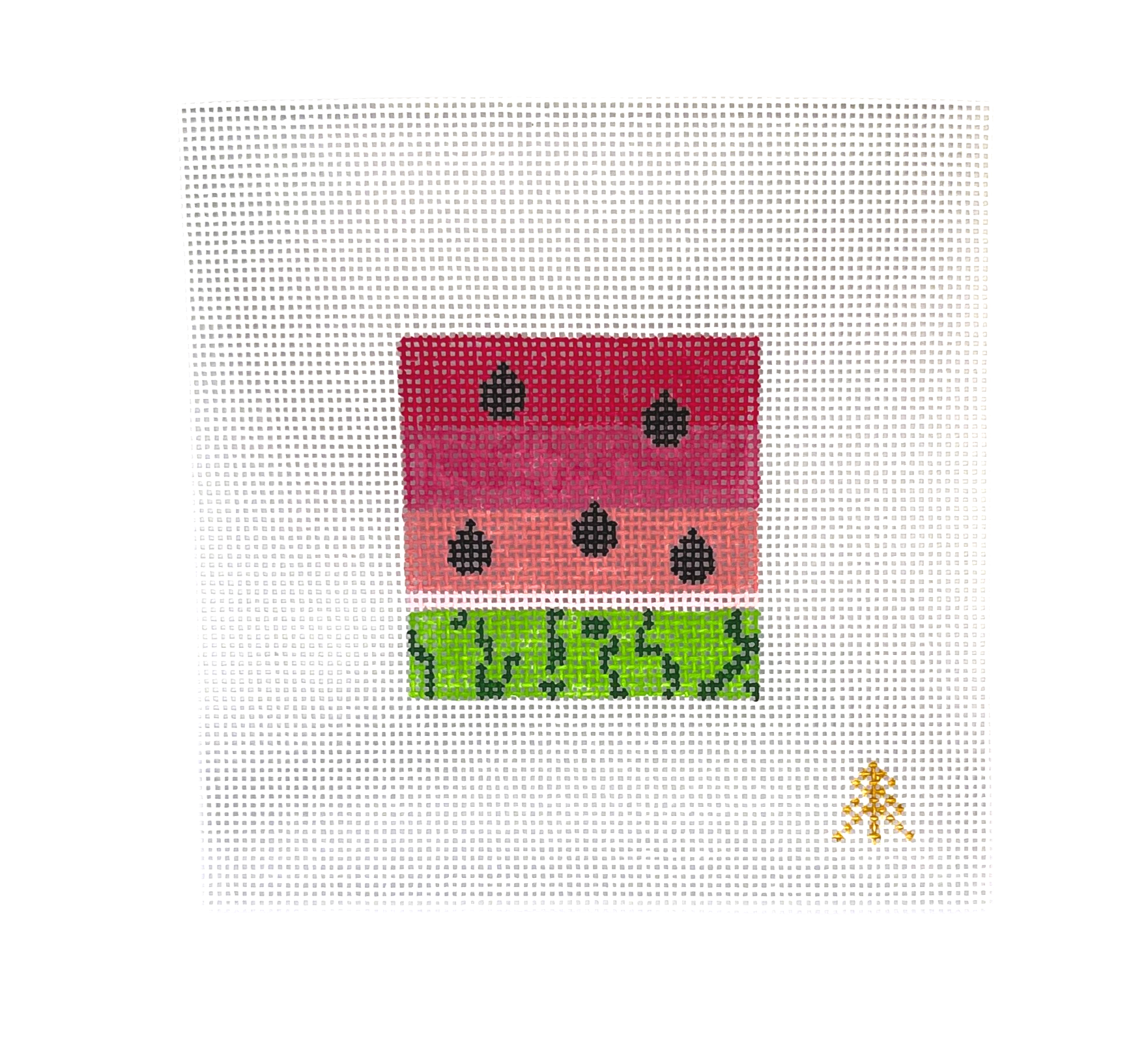 Gradient Watermelon Needlepoint Canvas Insert for Can Cozy