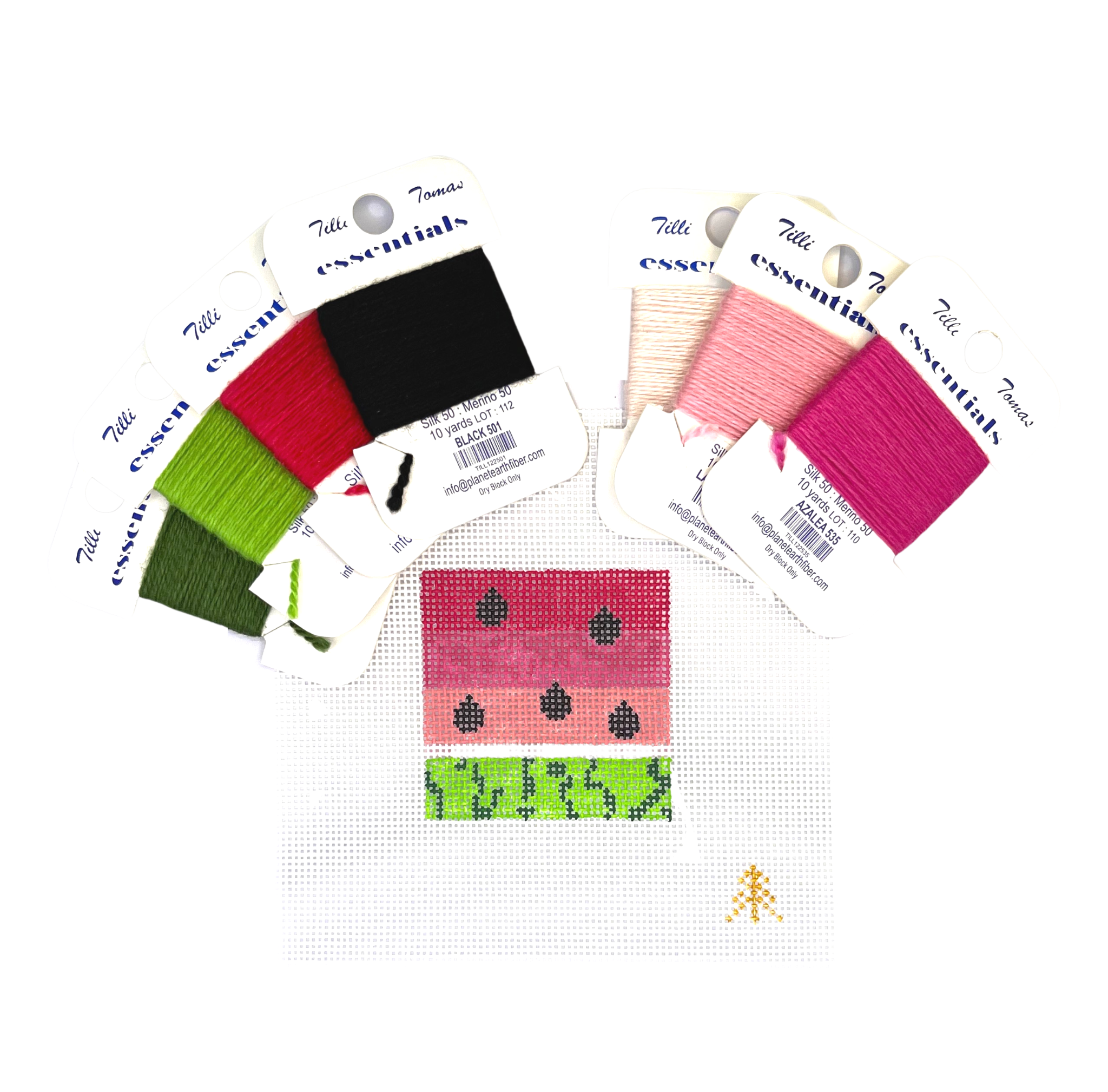 Gradient Watermelon Needlepoint Canvas Insert for Can Cozy